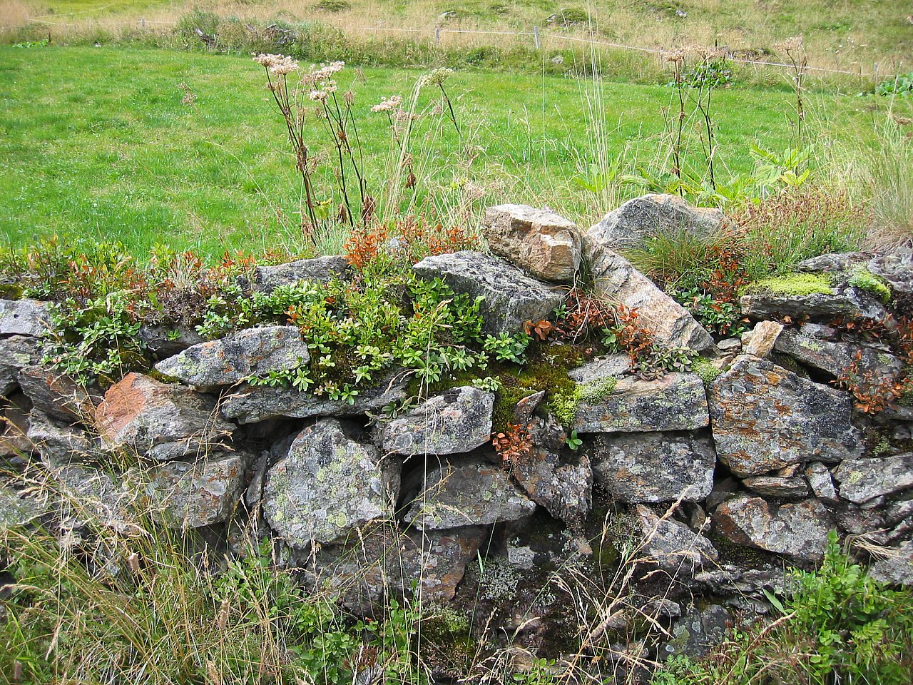 Steinmauer