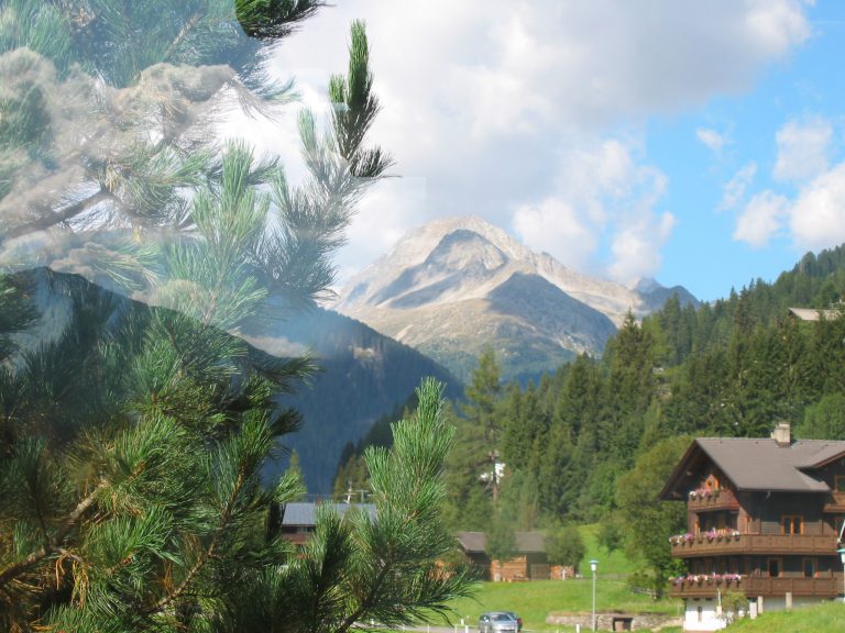 Almer Horn vom Balkon aus gesehen Almer Horn vom Balkon aus gesehen